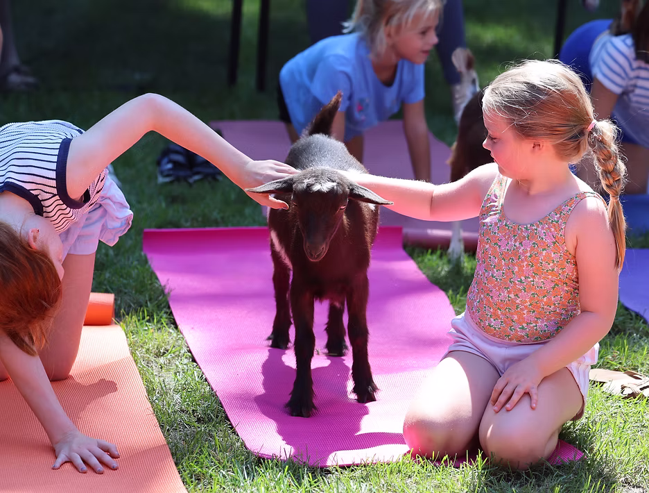 Goat Your Zen On